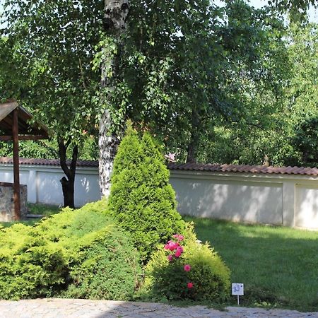 Hotel Radi Sapareva Banya Luaran gambar