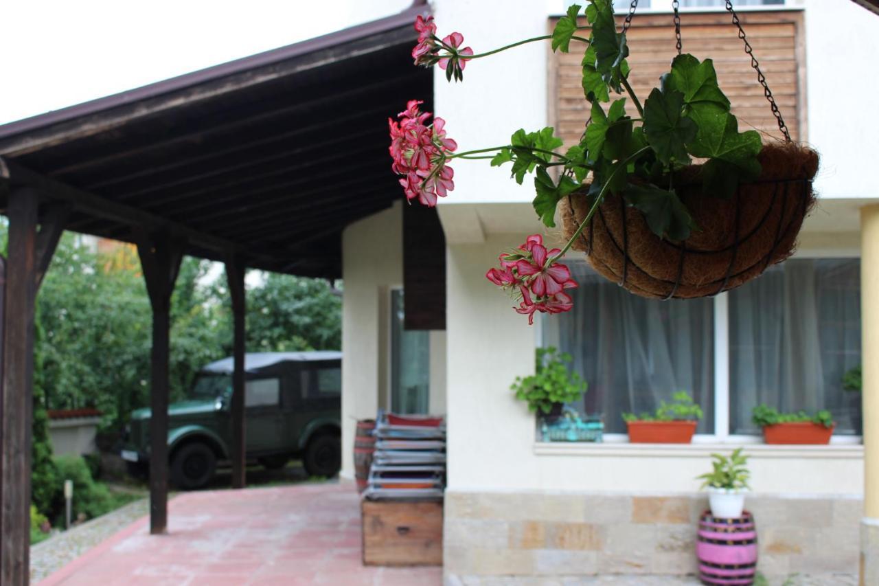 Hotel Radi Sapareva Banya Luaran gambar