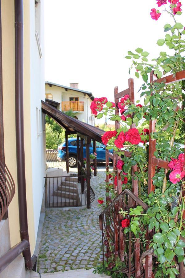 Hotel Radi Sapareva Banya Luaran gambar